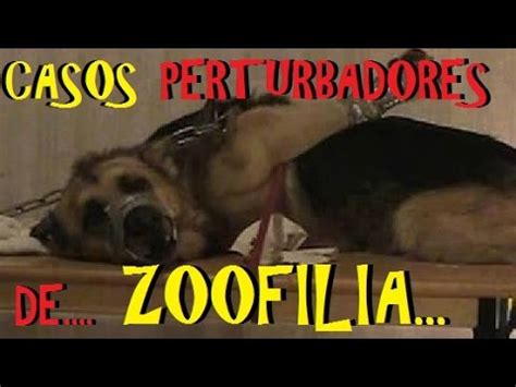 sexoconanimales|Vídeo porno Zoofilia